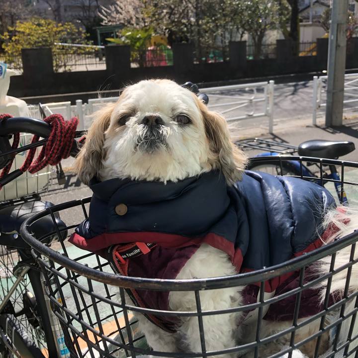 4a723b14 0d60 4277 b318 62028cfc5ec7 1614635712111