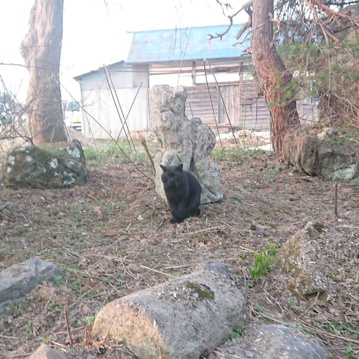 4a724cd3 f7e0 4200 9823 ab28afcb2341 1649798544436