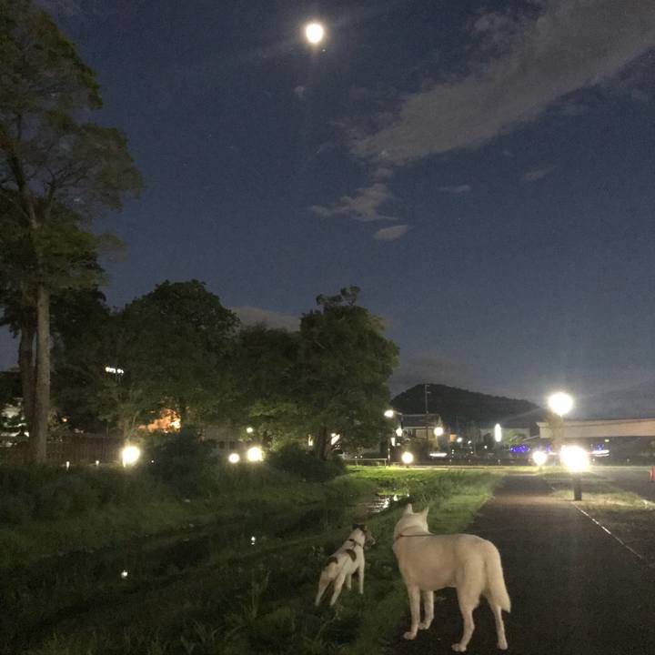 4a736689 3949 491e 9123 68fe876cf0d7 1534850738286