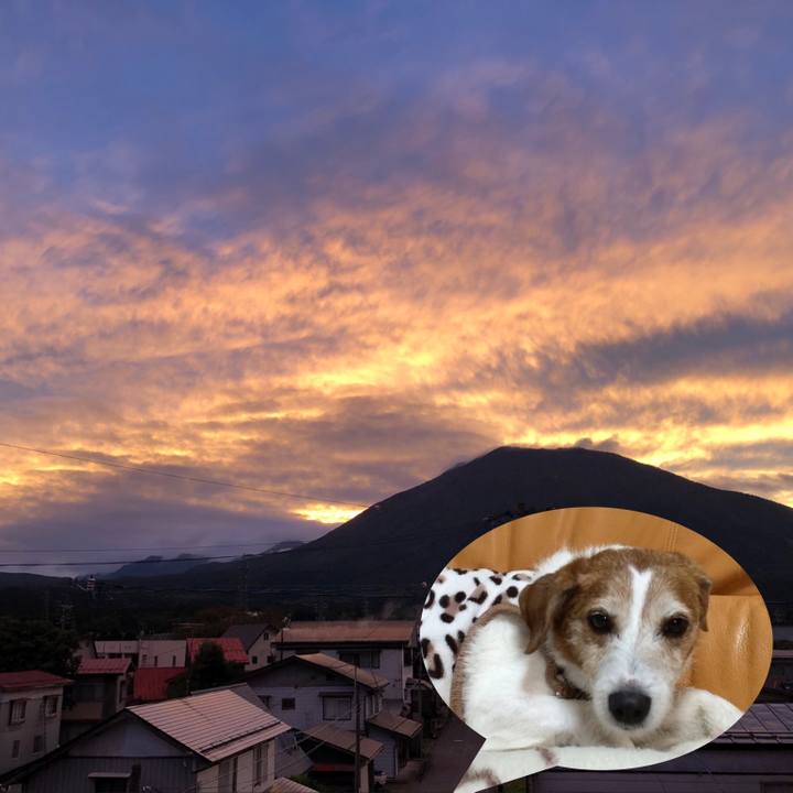 4a738ff9 a759 407c aa33 b5aacc399374 1602319896737