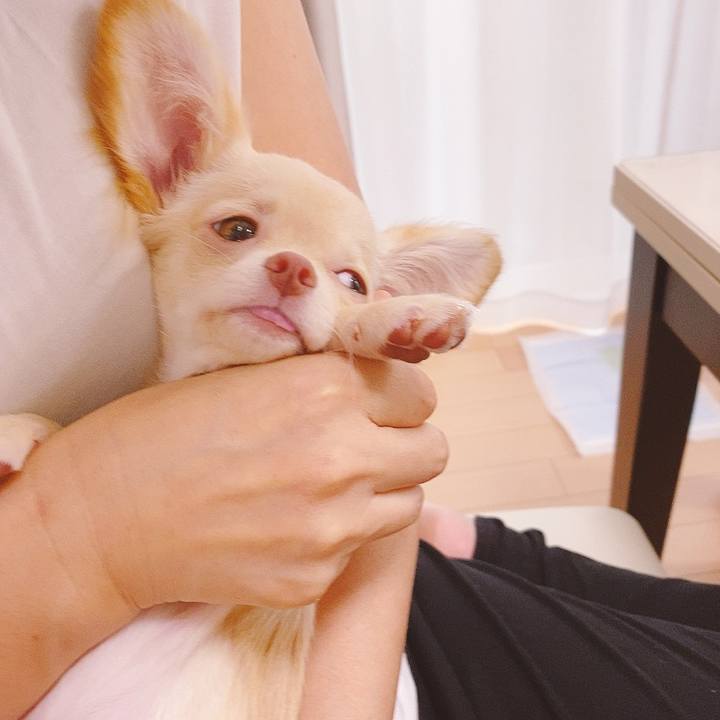 4a73c74c 50b0 4238 8f9d 070e44ff4695 1595645165388