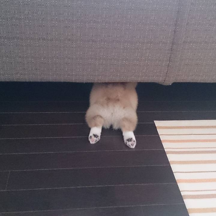 4a741940 af6a 4697 82df 714e2b2af224 1658114954886