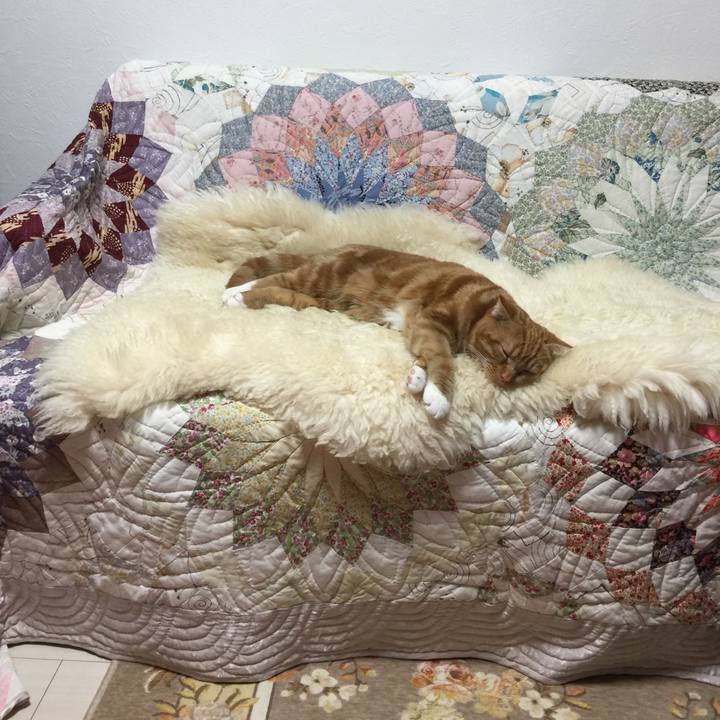 4a742c3d d2dc 47f7 8640 55438dd22ea6 1511096779651