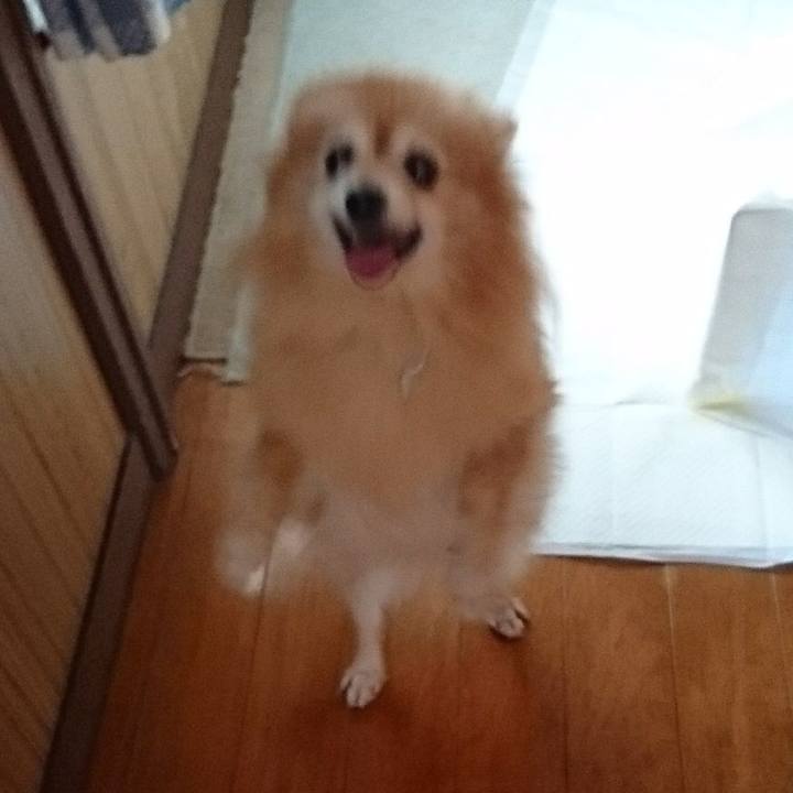 4a74415f 0021 40c7 aea7 e0e13fde29d4 1534230489637