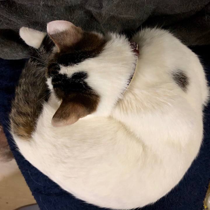 4a744b74 f067 44ea bcc6 be7f7b047788 1555152790183