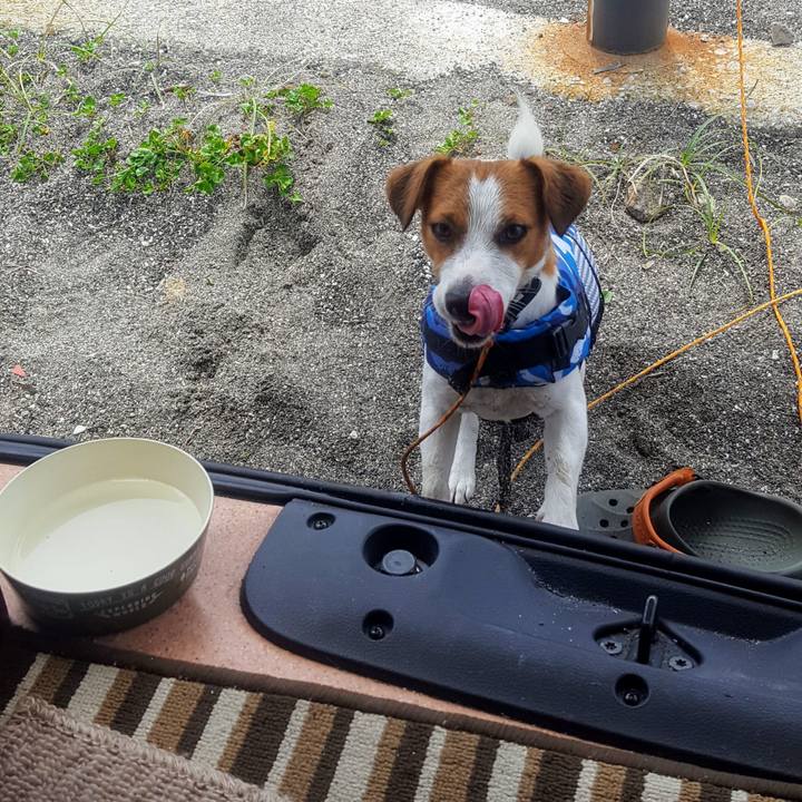 4a74a911 b1fd 4e21 b7fa 592e79495c11 1595393871323