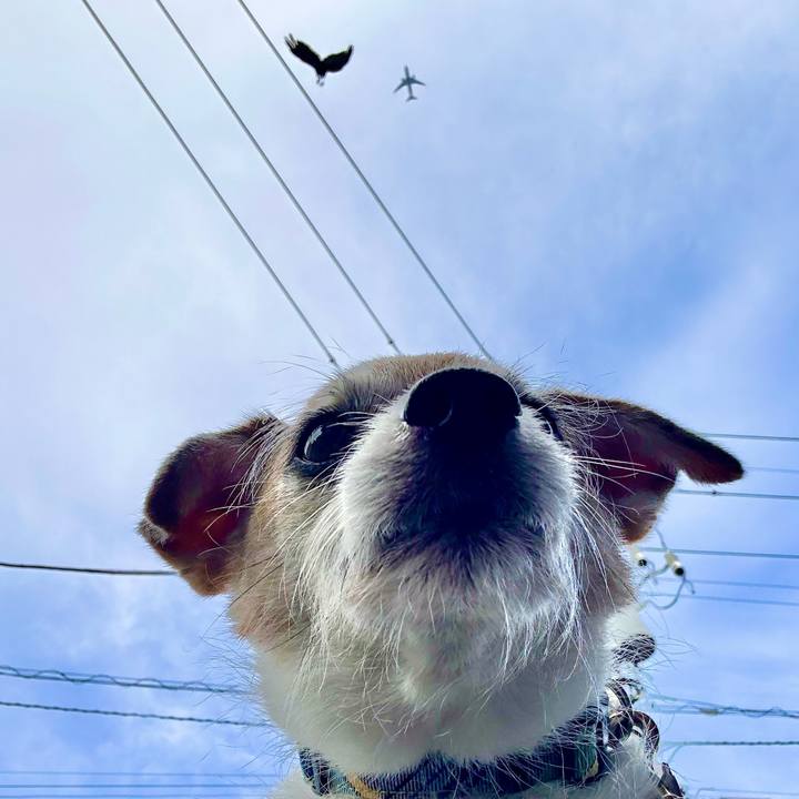 4a75000d 4fe7 4fce 9cc5 00ca384b16df 1688634652006