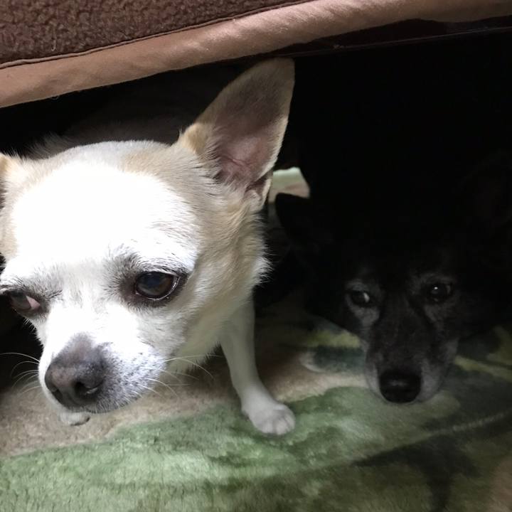 4a7527be 1ec5 48c9 b44b ded9b5d553dc 1526552080968