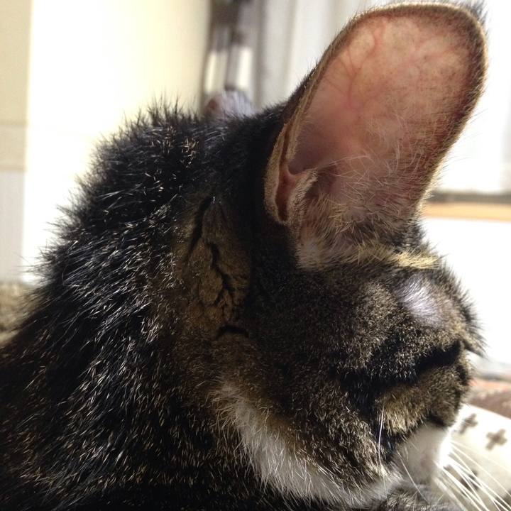 4a75378a 8b58 459d ab17 fb28b1d9a190 1508474336024