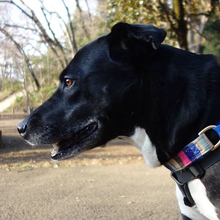 4a757489 dba8 4eb3 bba4 832adc06d259 1646786663807