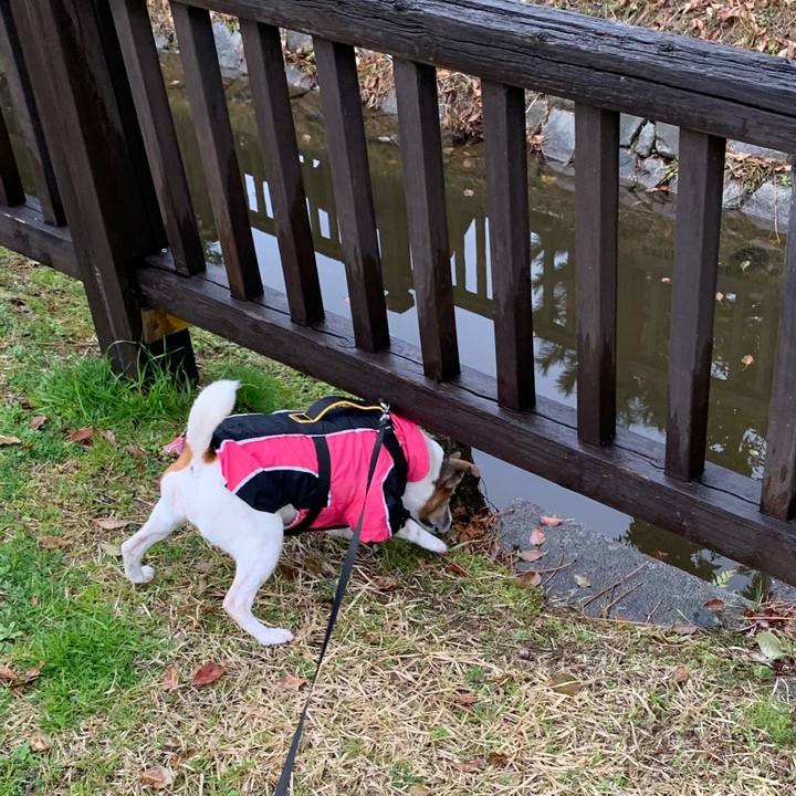 4a7577d4 75bc 4586 b321 0164b83ebb24 1583632833980