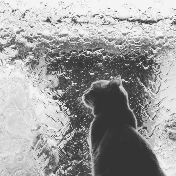 4a75a3ce fdbd 4156 9d26 26040188c85c 1557475637861