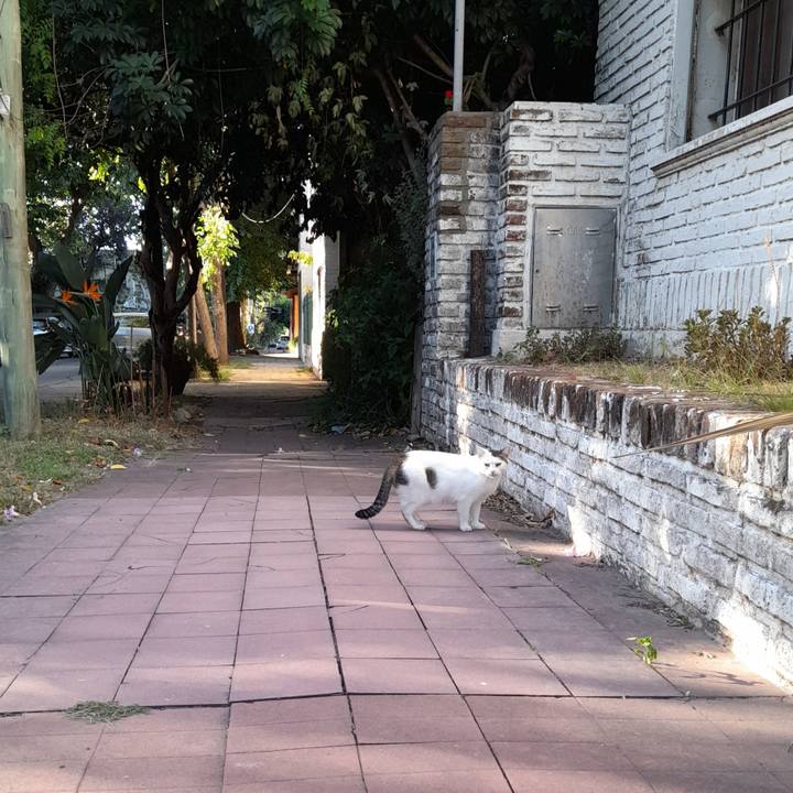 4a75aa4e db37 474d 9b17 e5ea4082ce52 1773279886021