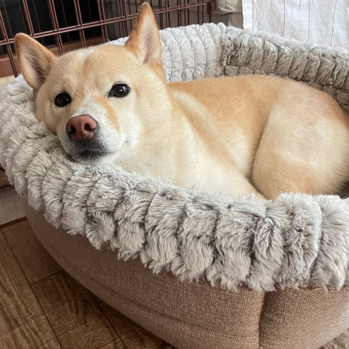 4a75aafe 7655 43a4 9742 6c0a30827789 1659396422030