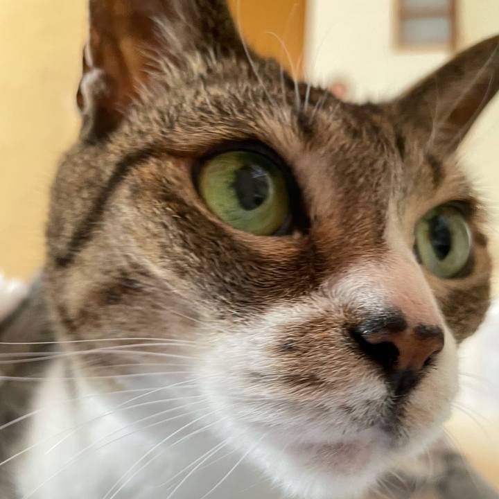 4a75b6fc b24c 4315 afde c8ffd540b6a6 1630719074465