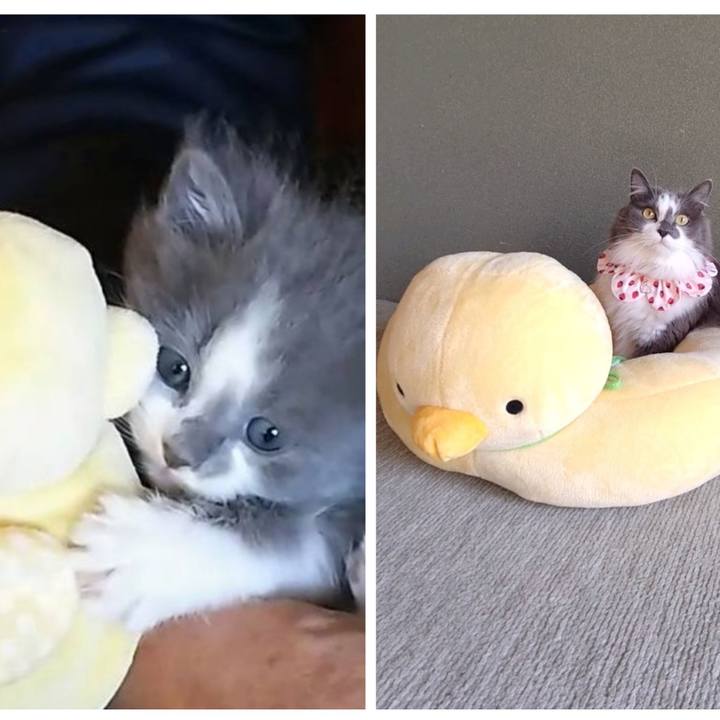 4a75d73c 187d 4ee3 bfed c161dda9f275 1714538000586