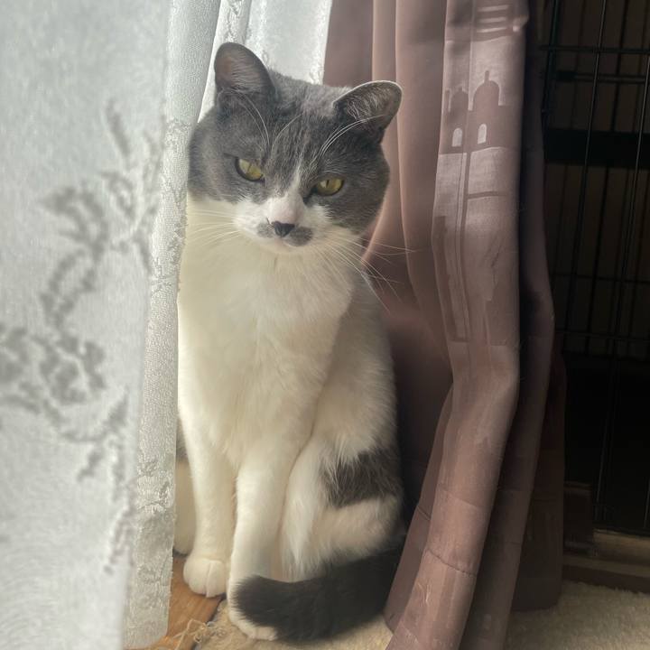 4a75e90a b302 4ba9 8e53 e903b1adb595 1678238928776