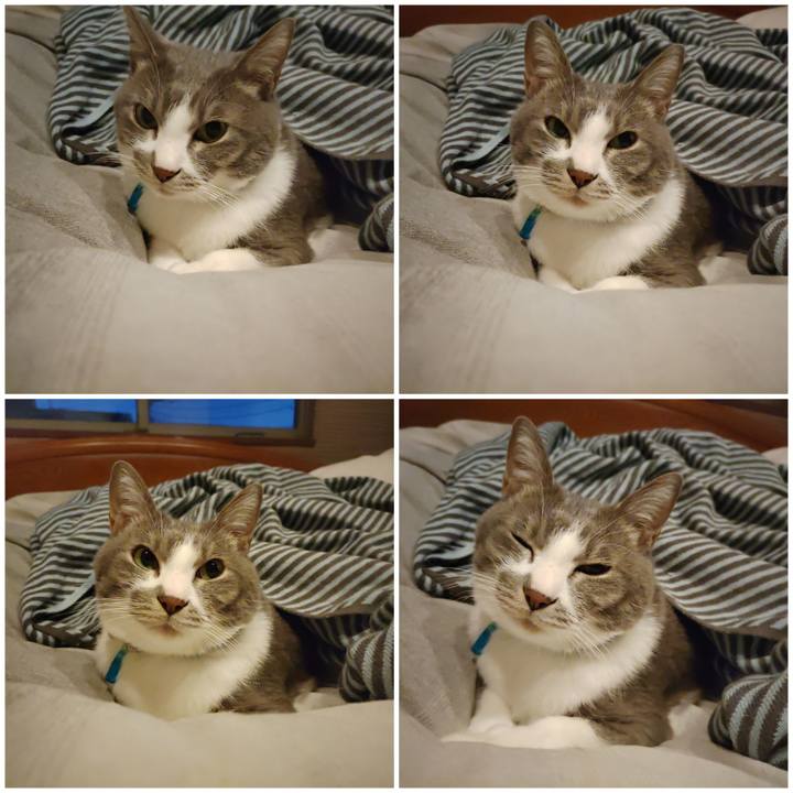 4a7699d1 0192 432f af7c 3554a10cbd5e 1702850530963