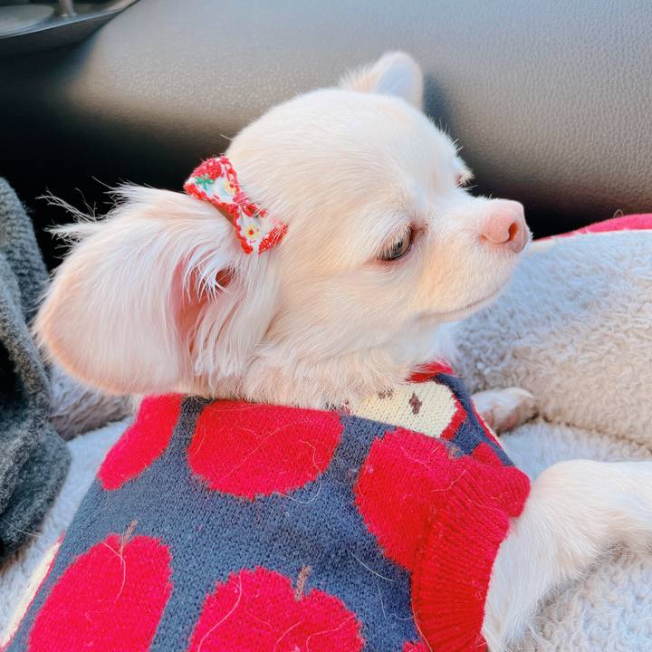 4a76bd1f 4e5e 49cd a01e 97ace78c89c7 1673249481163