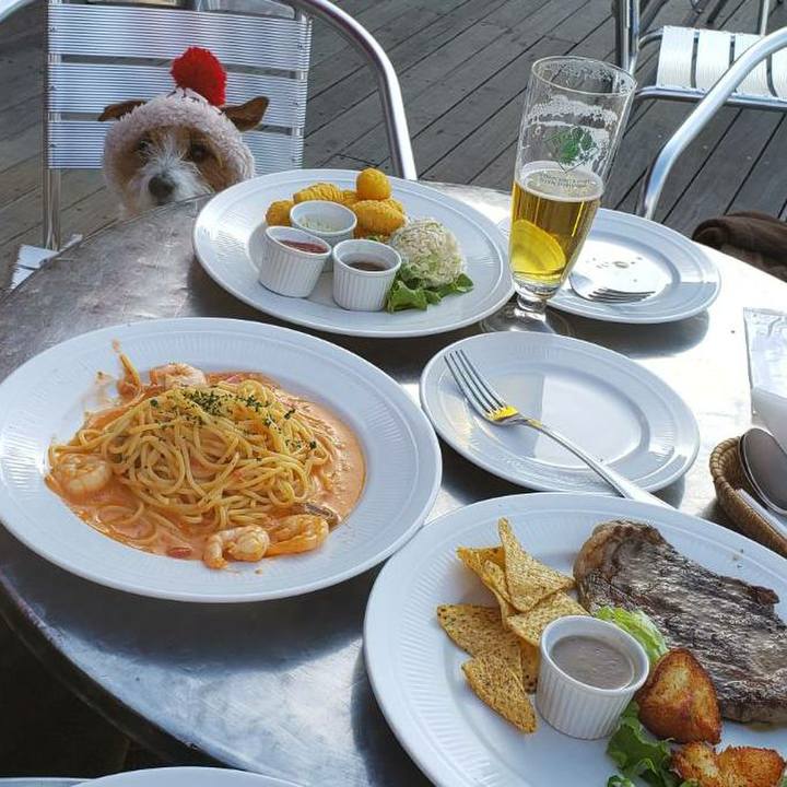 4a7738c9 0c9a 4ed9 b75a 6f4e7b25b9c5 1581426509803