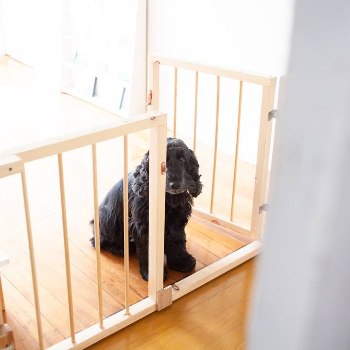 4a77ab09 556d 48ee 81a0 c9d367ad500c 1548420905287