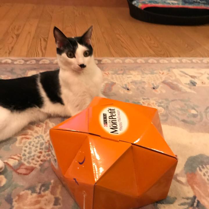 4a77fbd6 82d2 4387 8dc0 341fd0534d5d 1509414233739