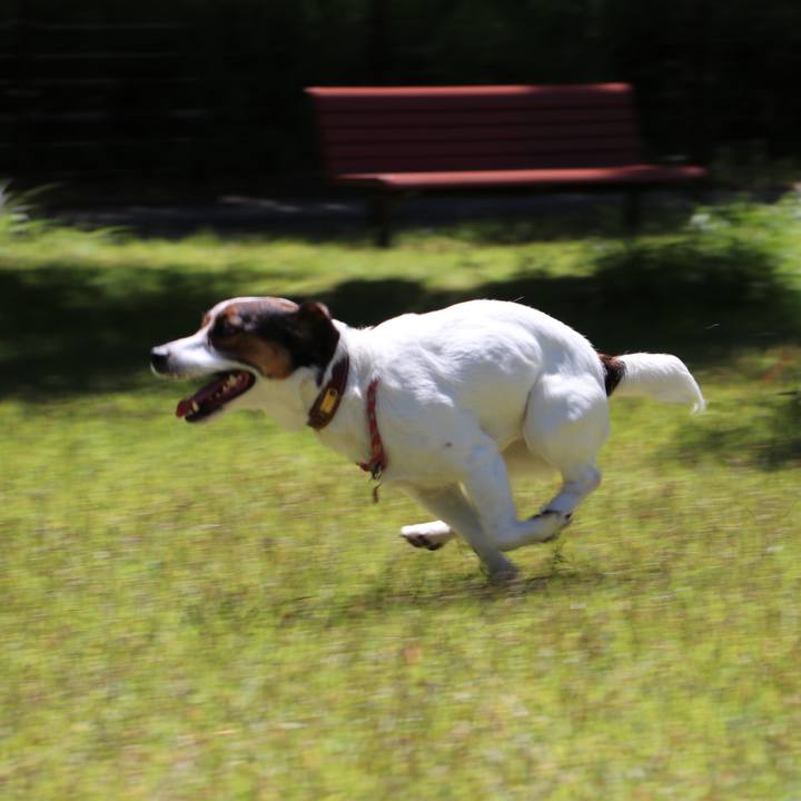 4a78259c 9ba8 4547 8b9c 2efec2bbf7f4 1526793195525