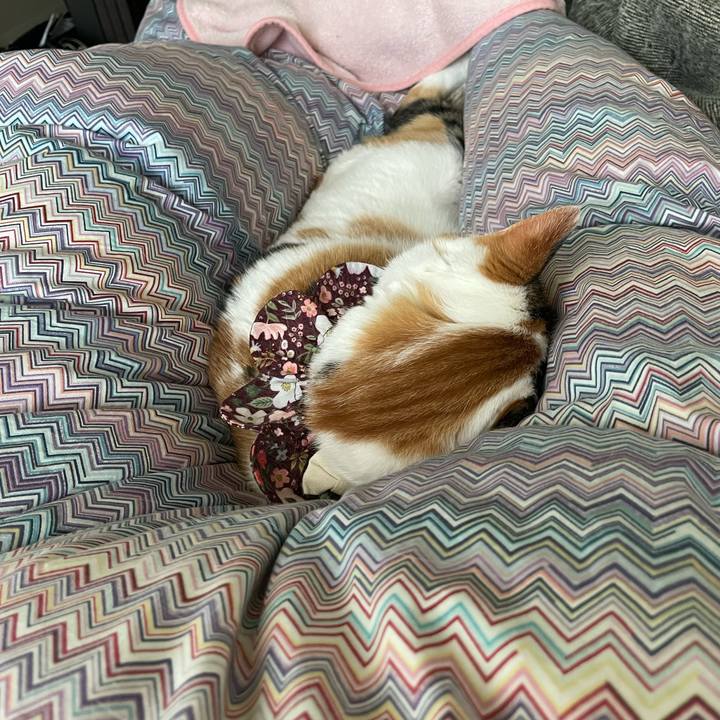 4a7835dd dcef 4835 8814 eb6f1ba92c9a 1737552885674