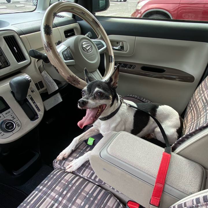 4a783b60 c59b 4757 aa62 8356bebe2cc5 1596870504697