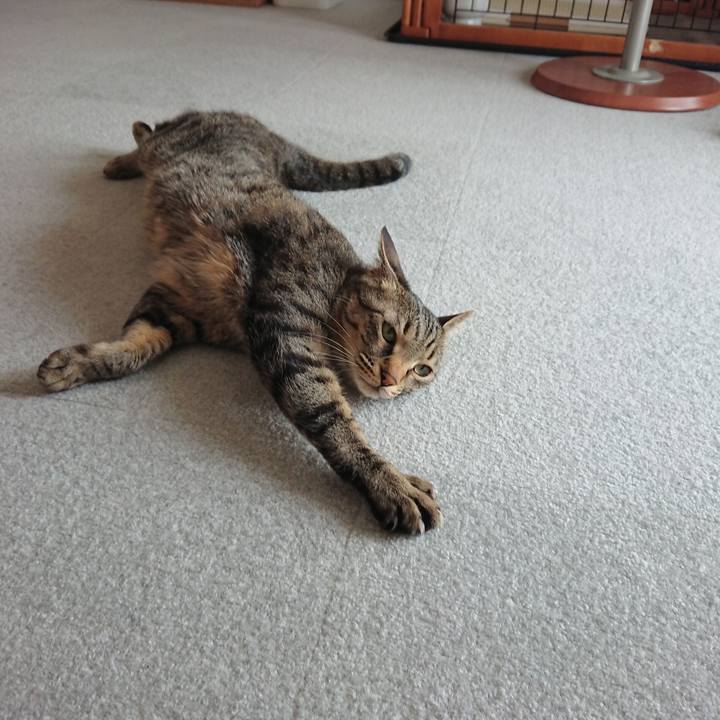 4a7863e2 667a 4437 9709 16cb4e17dd7b 1524371919679