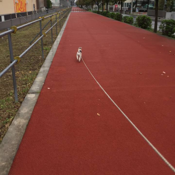 4a786f75 b32c 4480 8d53 9d8e13aac8b3 1538207581161