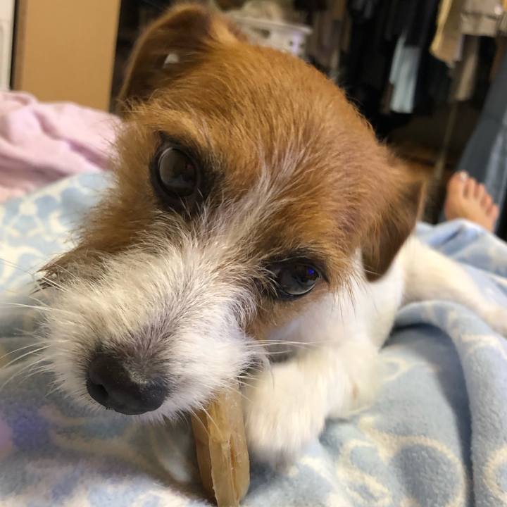 4a788230 a2d1 492b 951e 63704c6f014d 1536382823868