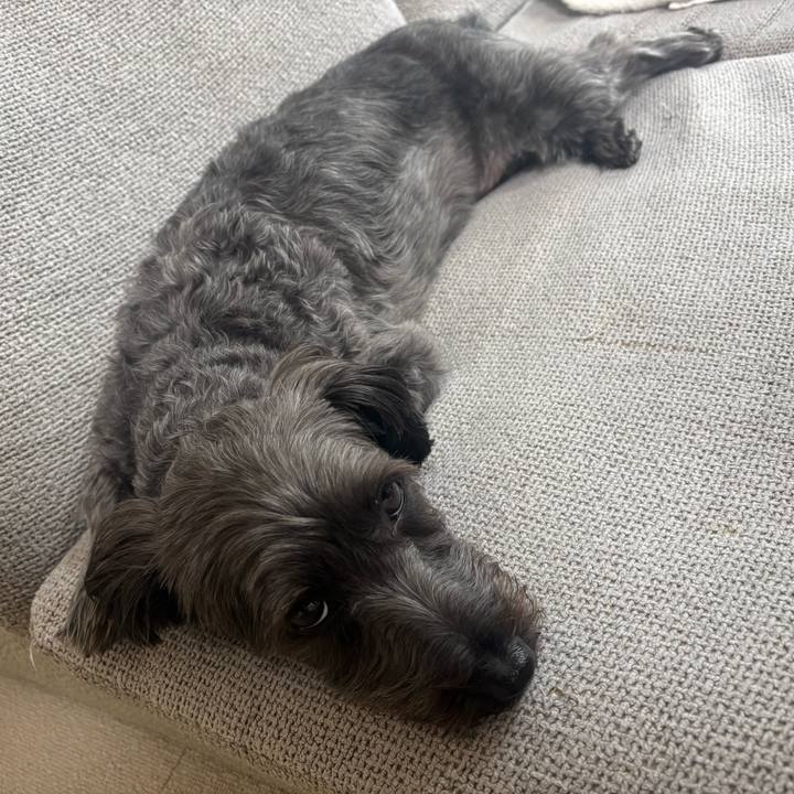 4a7883ff ae15 4723 844d af7a8446f1bb 1757226342985