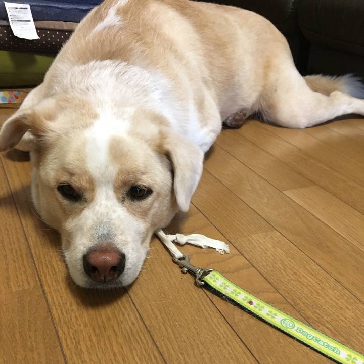 4a78ac98 2ae0 448c b5f5 6e06709d1de2 1538976024751