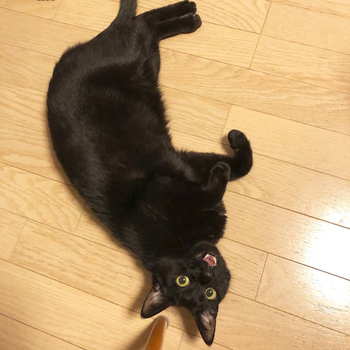 4a78b3d1 ad2d 431b 8bf8 20c5b79f7db5 1545915425106