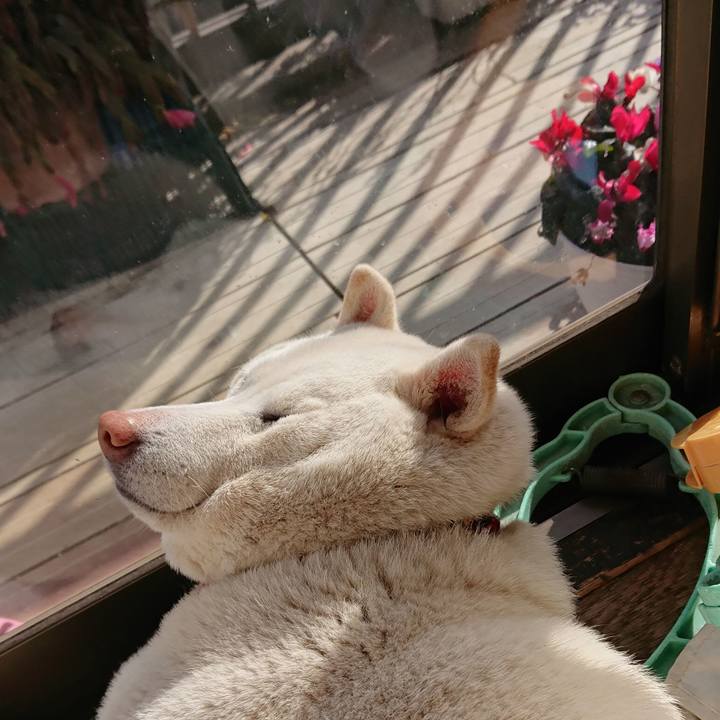 4a78d250 2c14 4350 9592 f3c80b32ce83 1614404693061