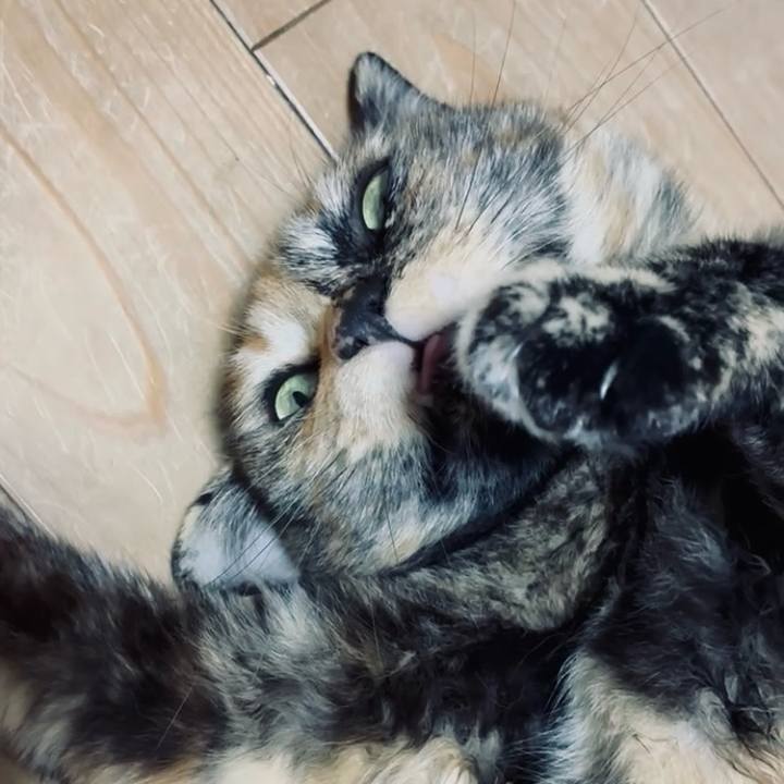 4a78dc3b bb61 4892 8a53 2af7ee81494f 1747992936929