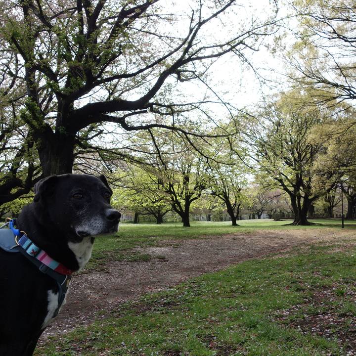 4a78ff10 c2b8 439a b04b 5f05f26dccb3 1744591265188