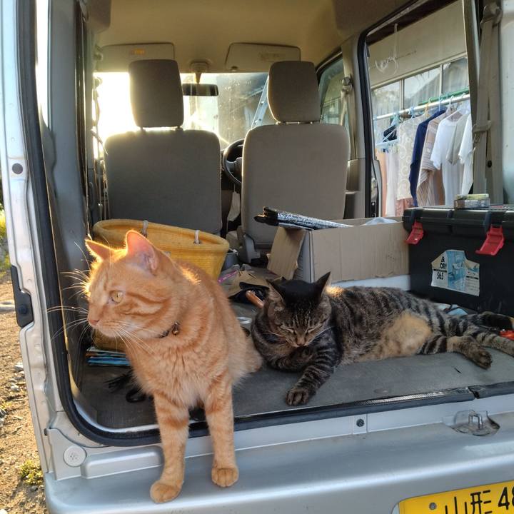 4a791b7d eef5 4ba9 aee1 5317e9271a01 1694594522180