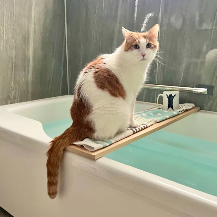 4a793df1 ce40 459b 8211 7de57b8b8f6e 1772061108292