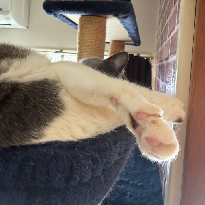 4a795df0 dfa7 4fe0 abb4 82128ffb5c92 1773965434894