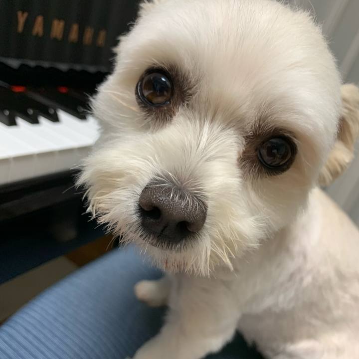 4a796284 fbd1 4b3c 9679 8b21c84bff16 1625662412322