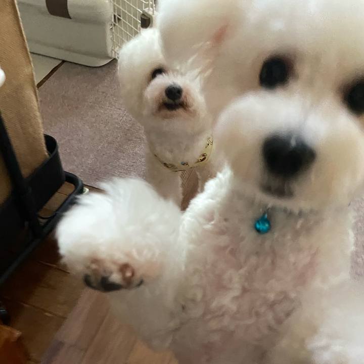 4a798fde 476d 4874 bc2a 9e896e513d7c 1753082947927