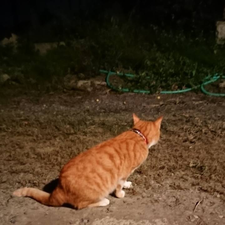 4a7997d0 191a 4db5 8433 1a8b6f2c3e41 1569326613214