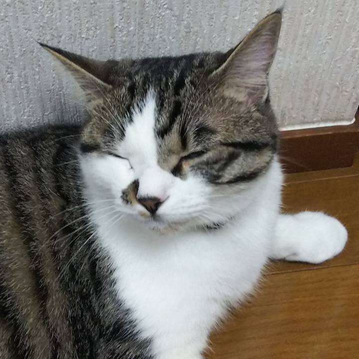 4a79a67c aaaf 4e49 971a fd05f6a8f94e 1621336309052