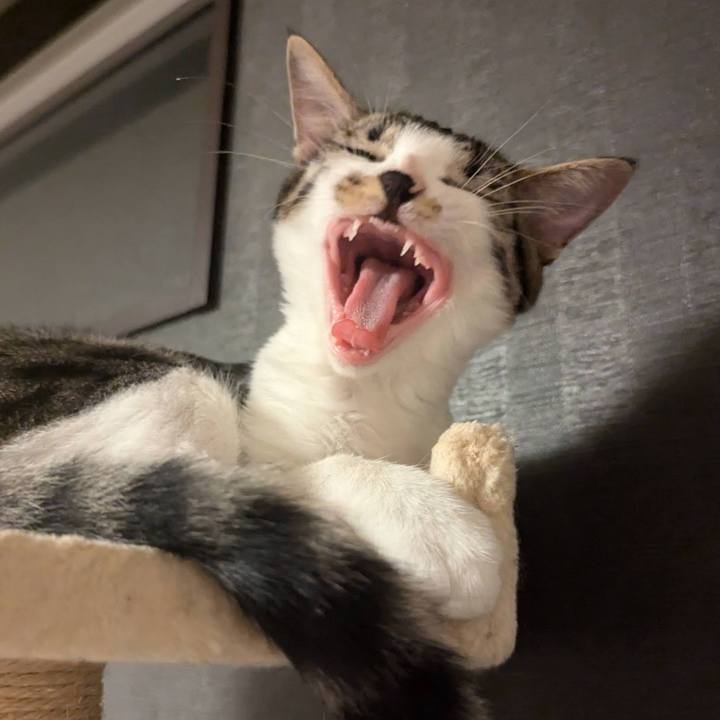 4a79a700 2467 4fbe 8b9f 397cc07e78cb 1725619302248