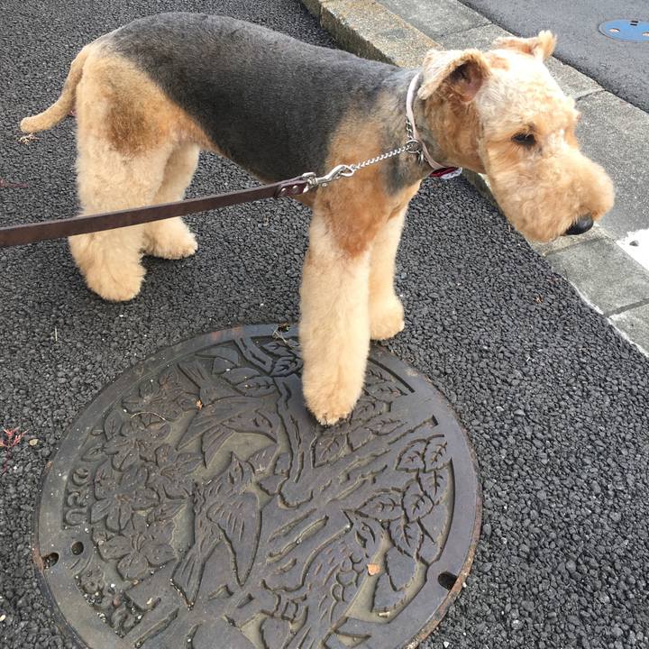 4a7a0e73 dbb5 439a a9be efb4faf7e231 1509800970983