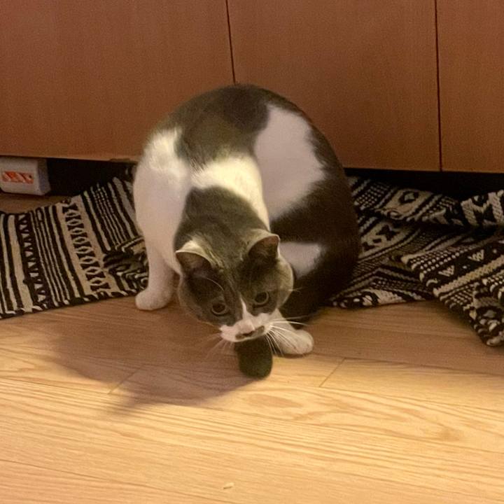 4a7a145e 1dfc 4973 8ba6 77ca0b7dfea8 1651101744365