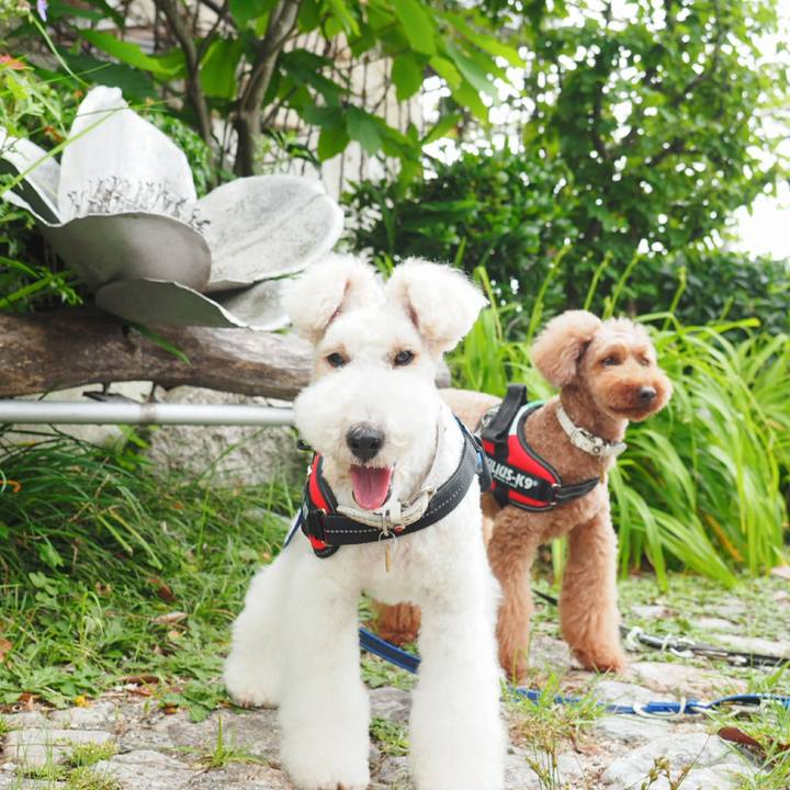 4a7a210b 579b 4245 b584 18ad9d9a1f1a 1528593615786