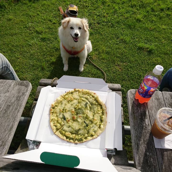 4a7a32ea 6520 4002 976e 14990f088040 1536733998540